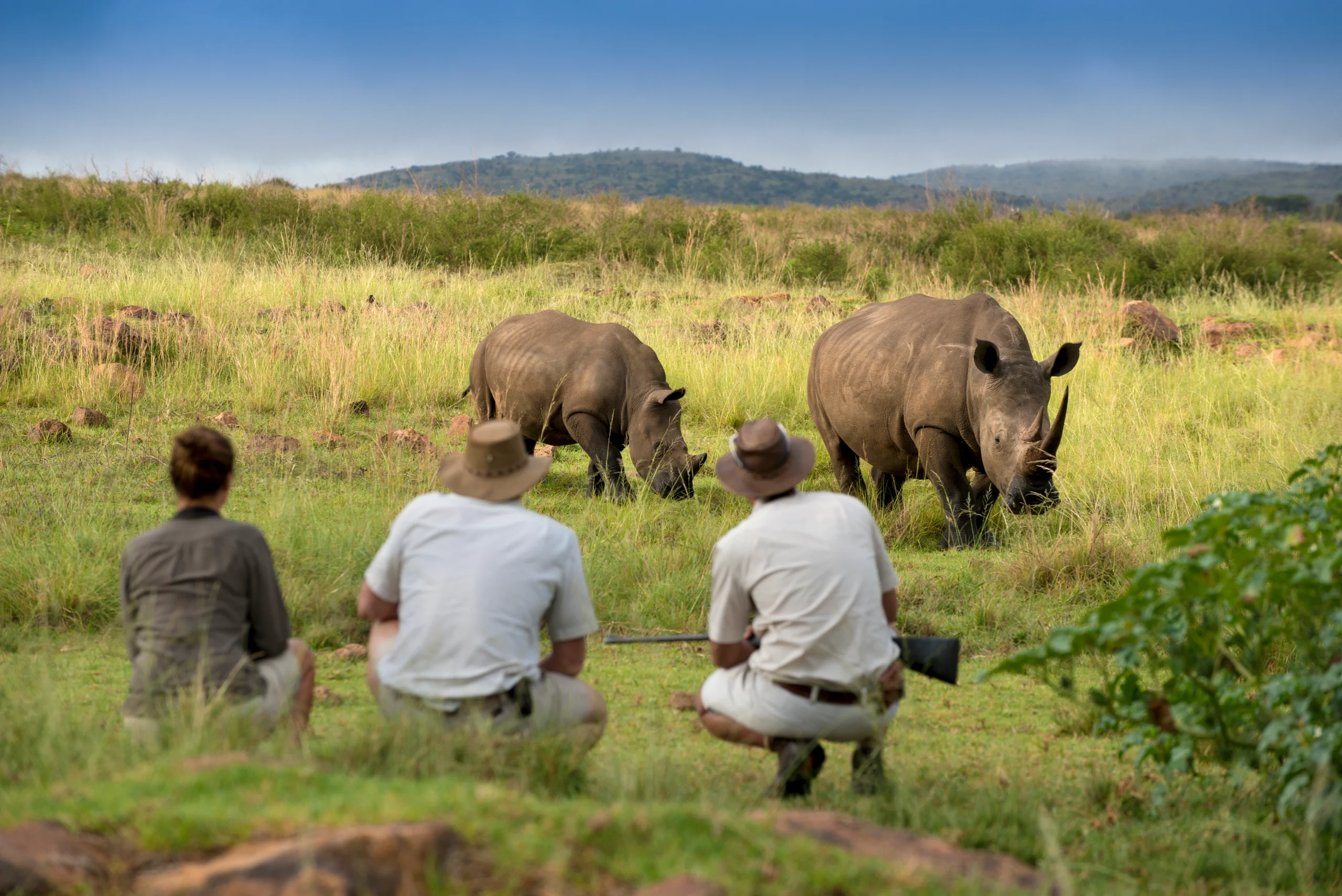 Mhondoro Safari Lodge & Villa, photo 11 of 13
