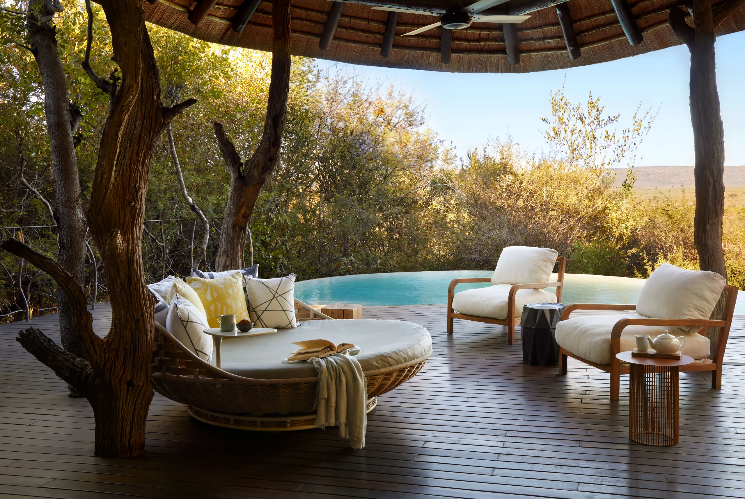 Molori Safari, photo 13 of 23
