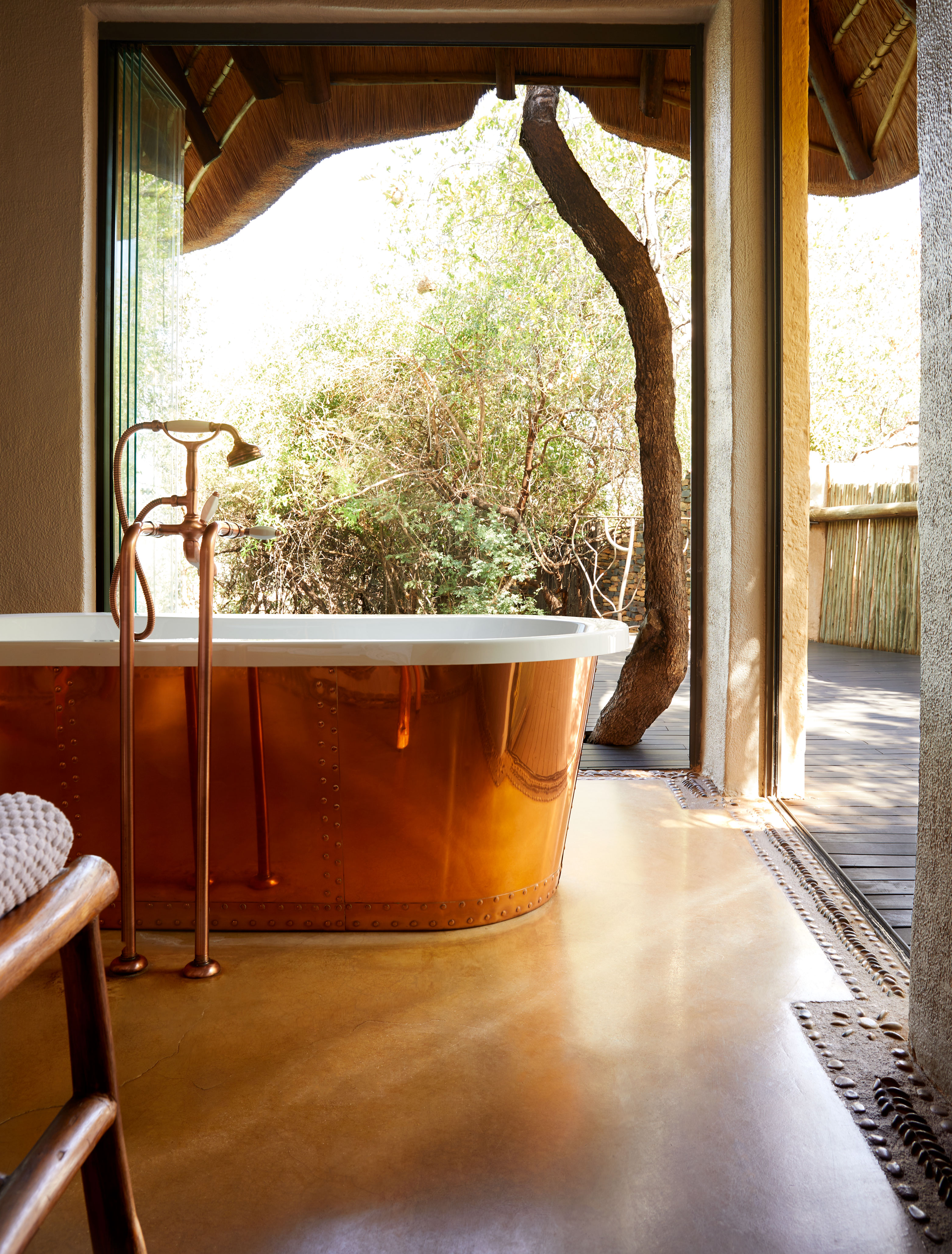 Molori Safari, photo 6 of 23