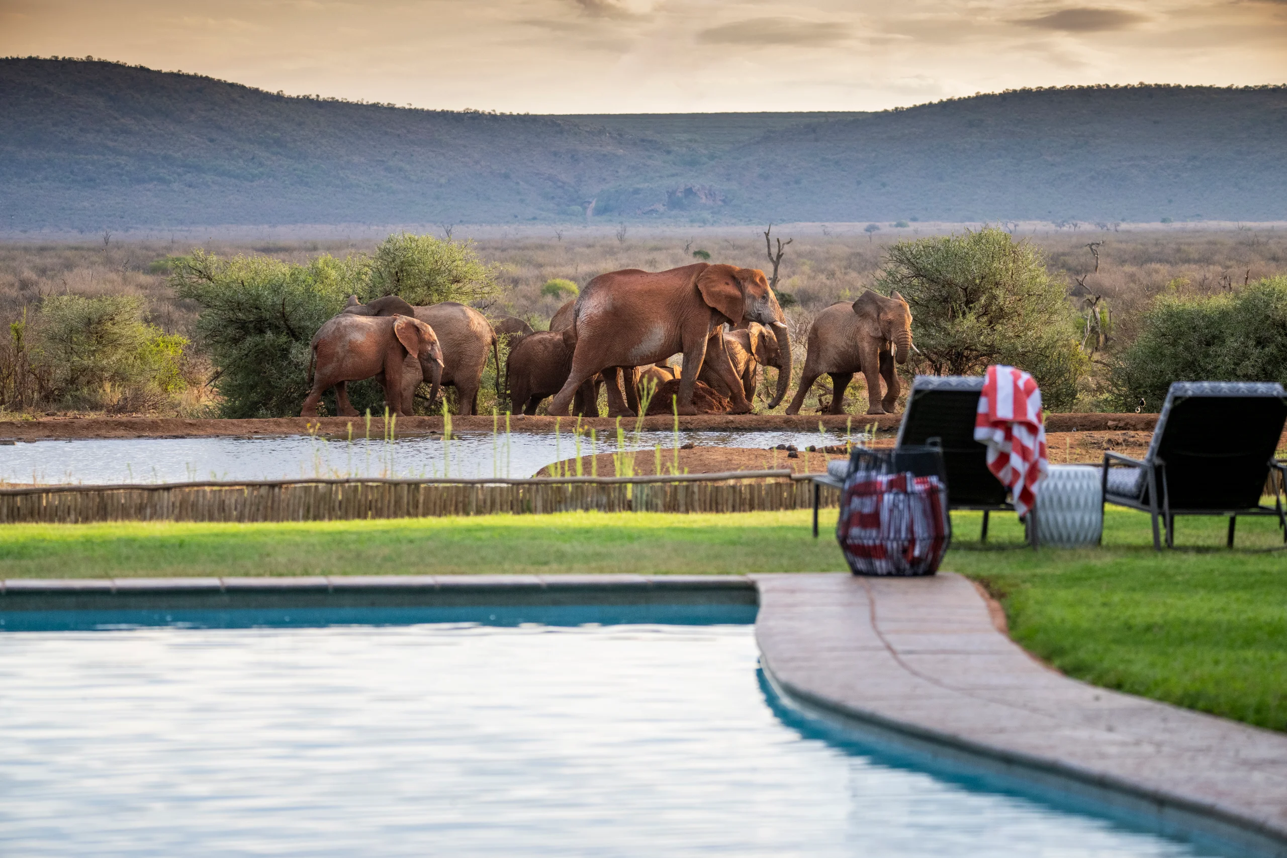Madikwe Safari Lodge, photo 11 of 14