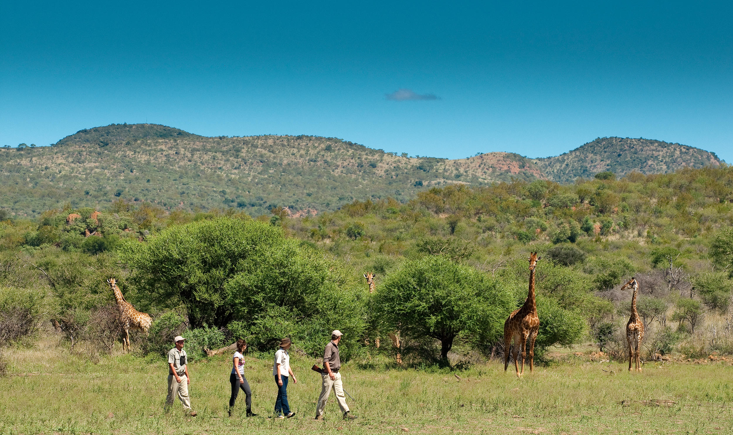 Madikwe Safari Lodge, photo 14 of 14