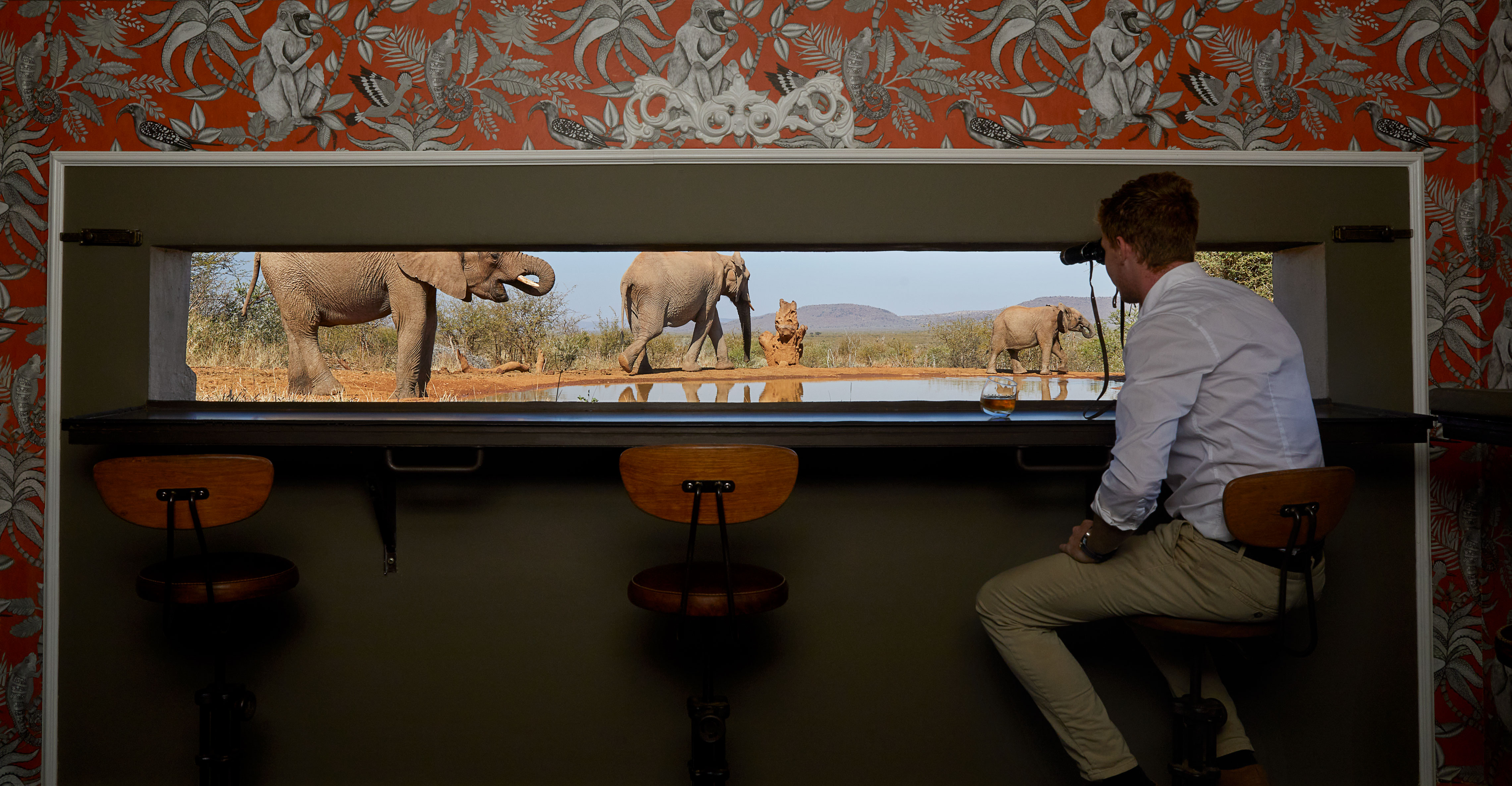 Molori Safari, photo 7 of 23