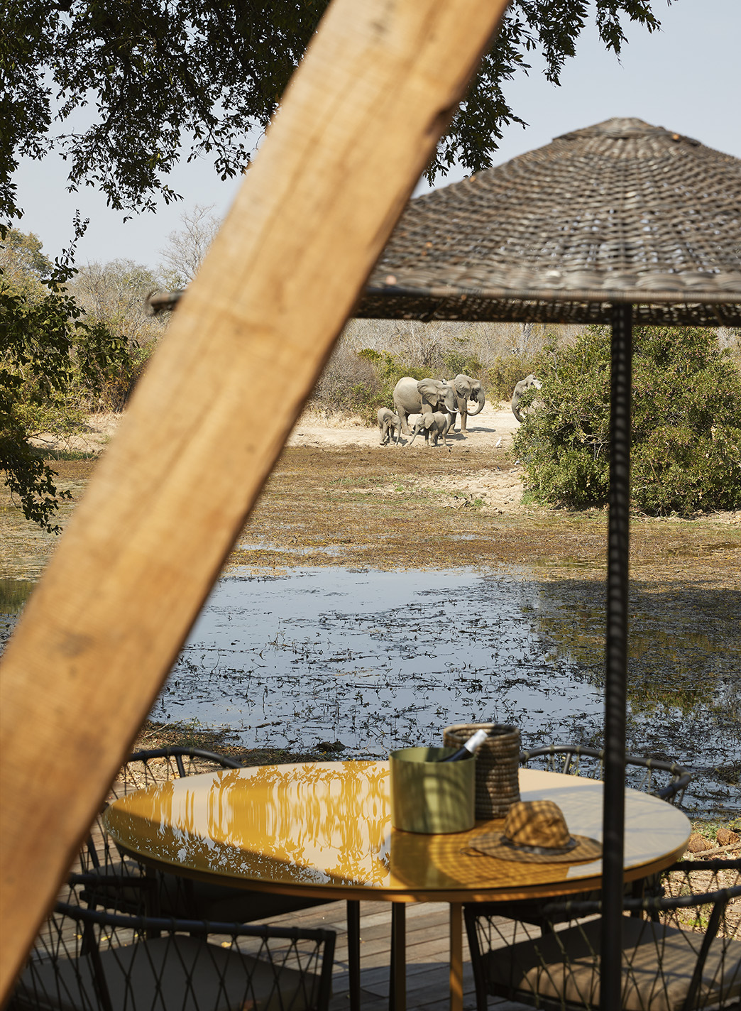 Molori Mashuma, photo 18 of 18