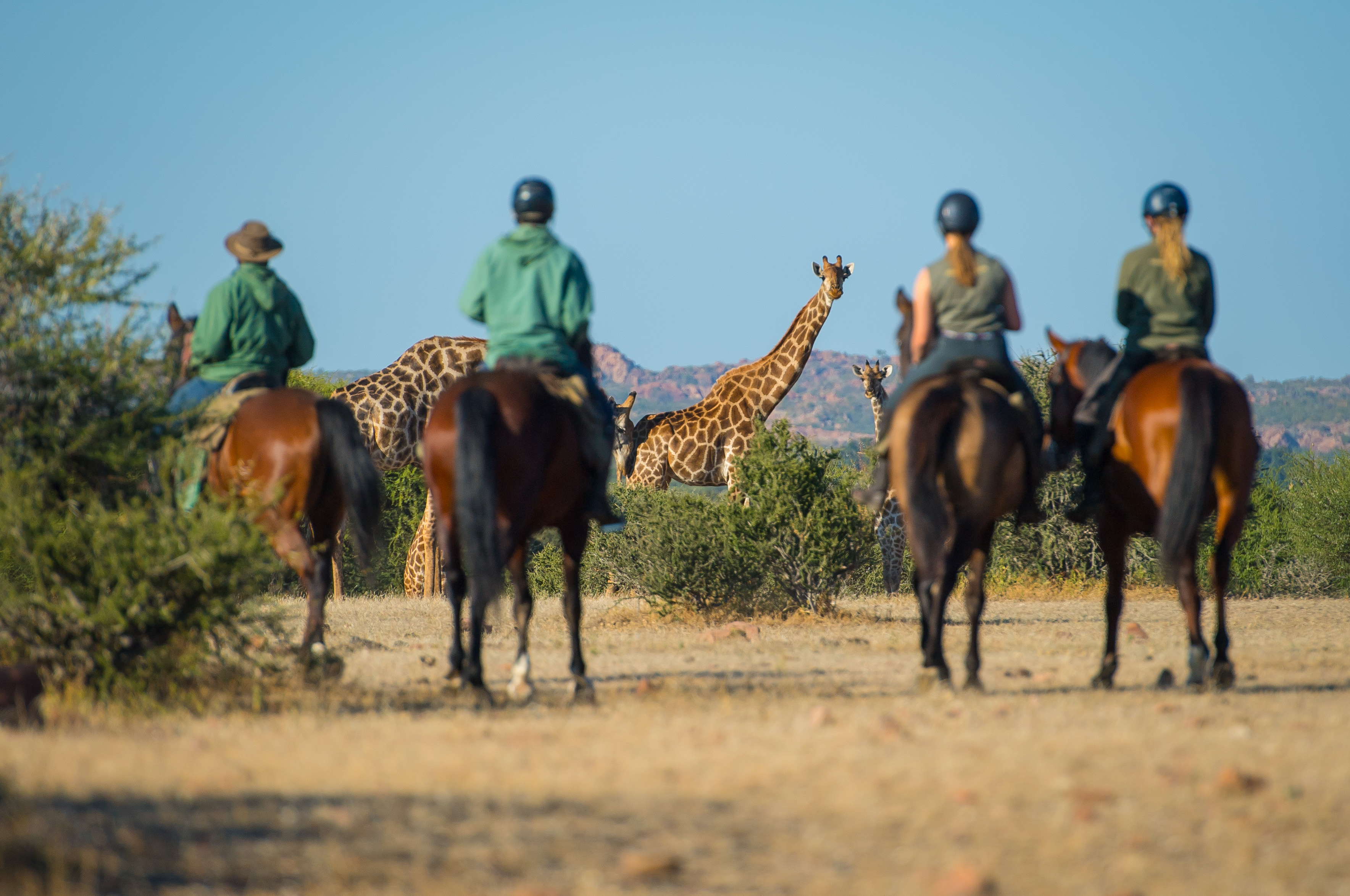 Mashatu Game Reserve, photo 18 of 18