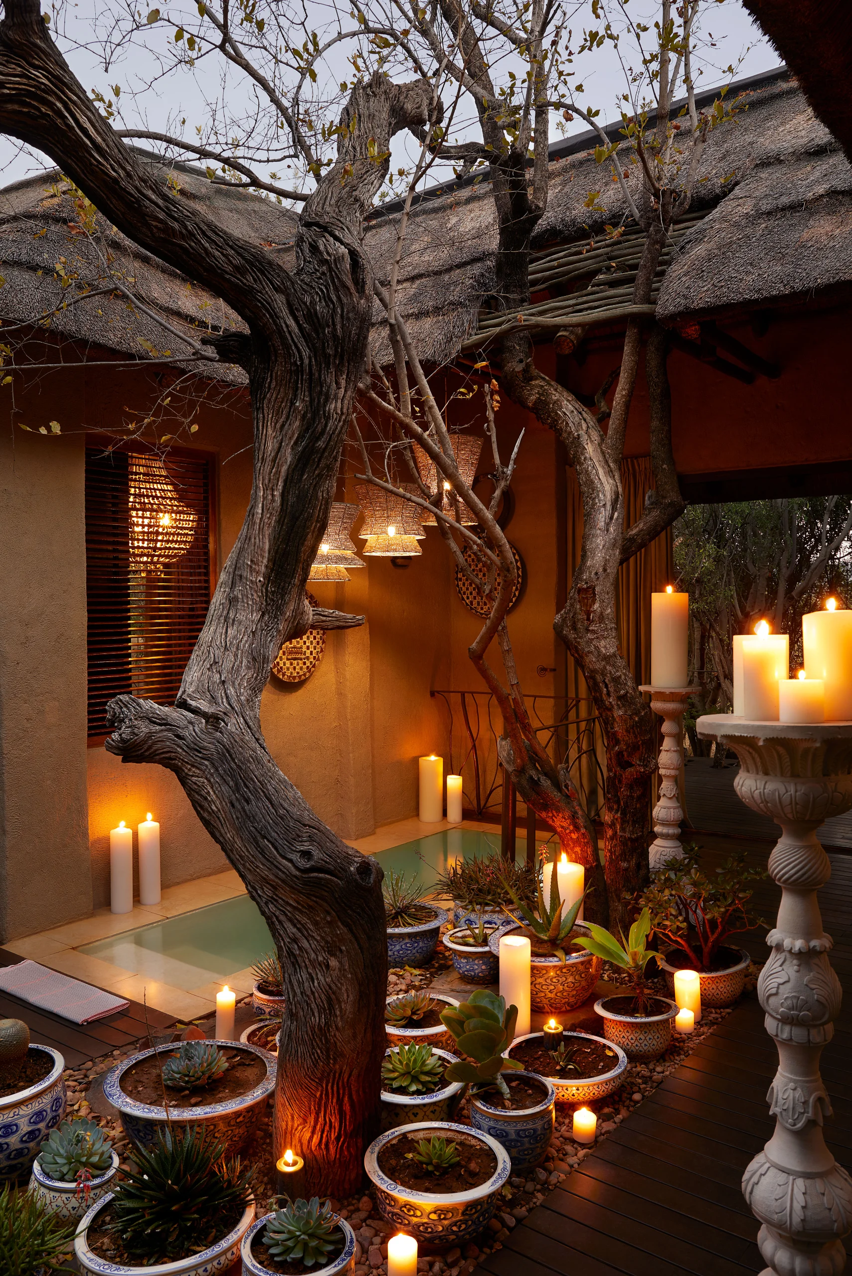 Molori Safari, photo 11 of 23